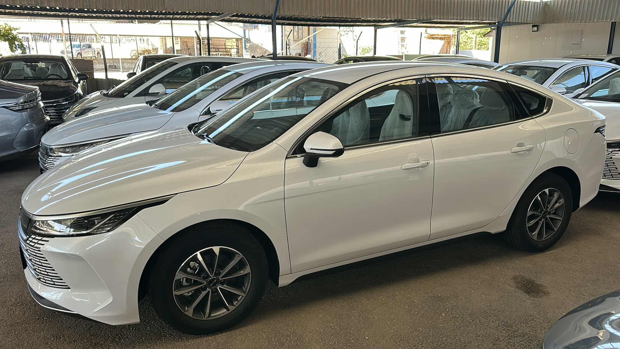 سيارة BYD ديستروير