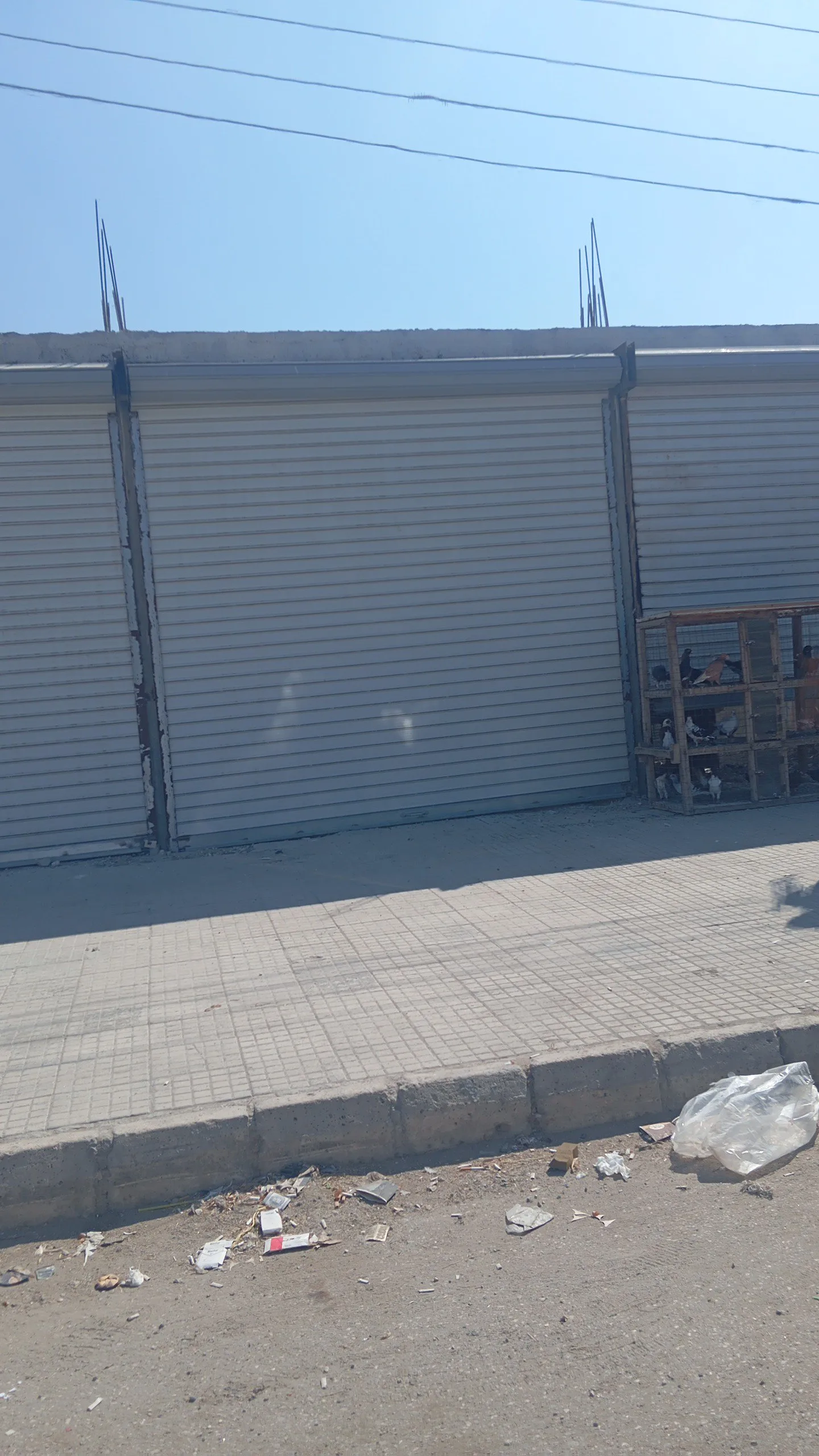 حلب الفردوس