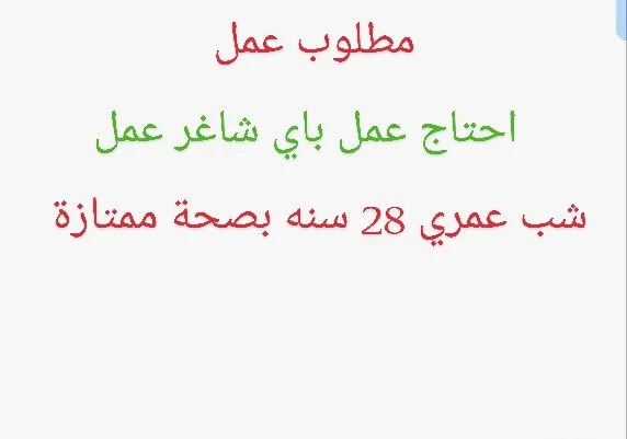 مطلوب شاغر وظيفي