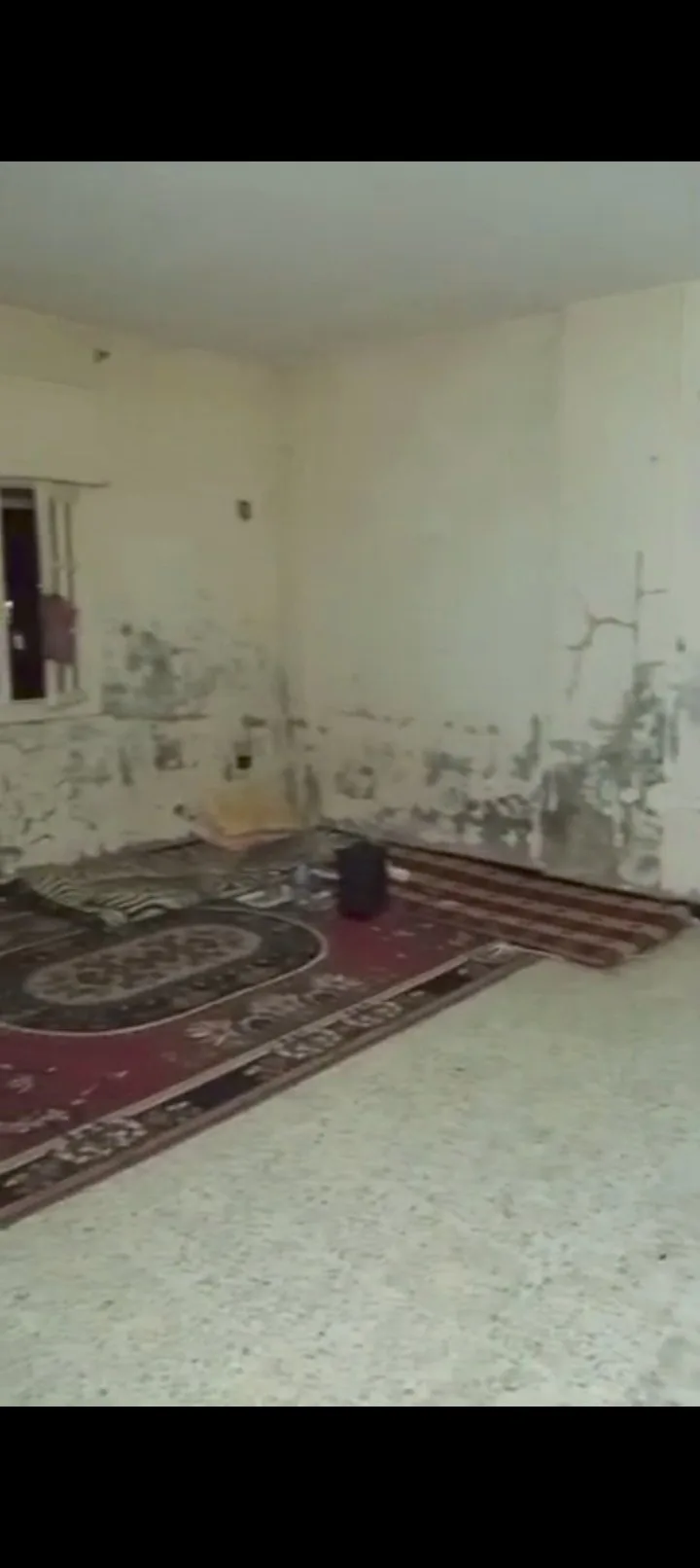 حمص السكن الشبابي