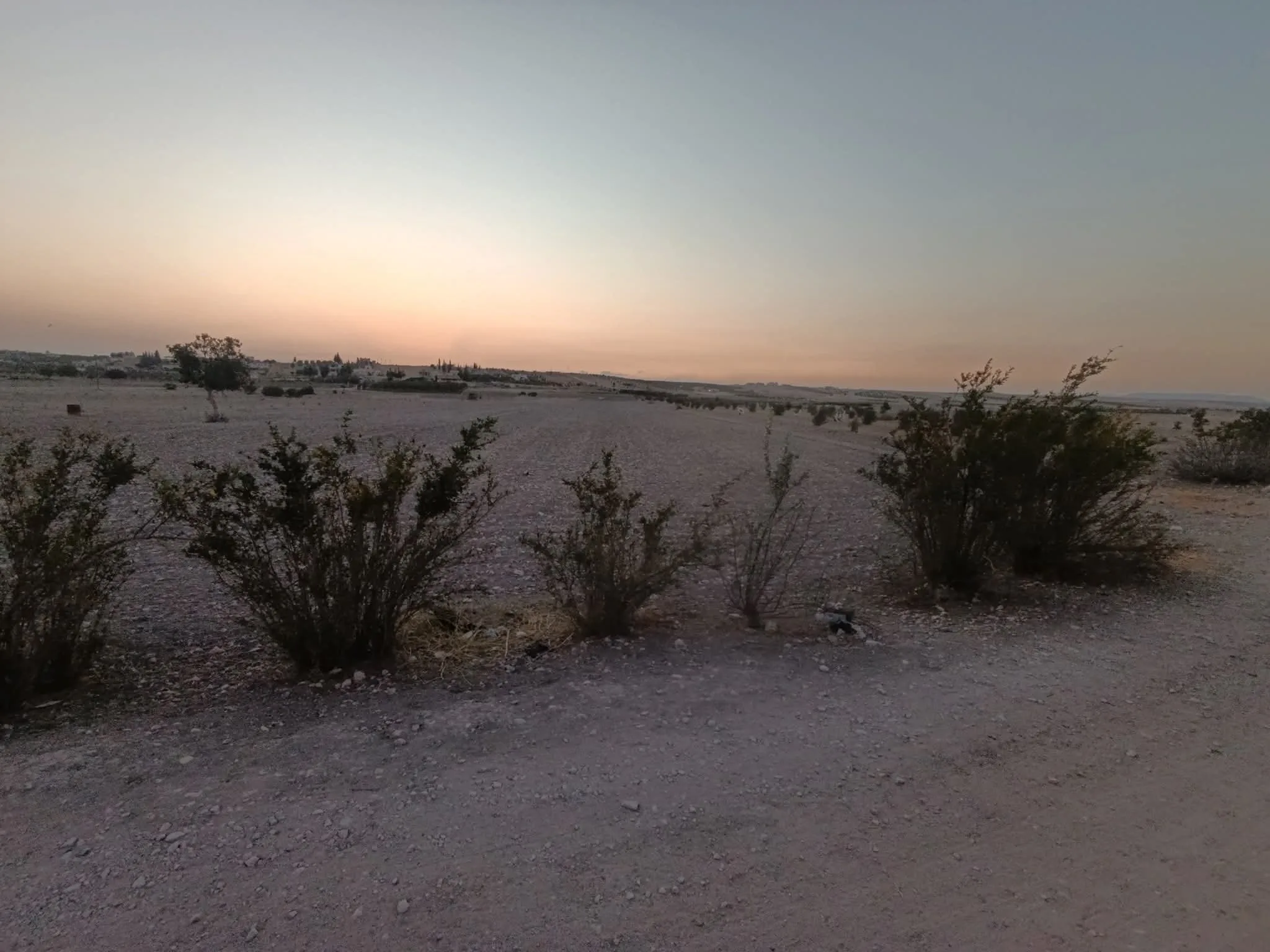 أرض للبيع بريف حمص الشمالي