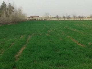 images-2